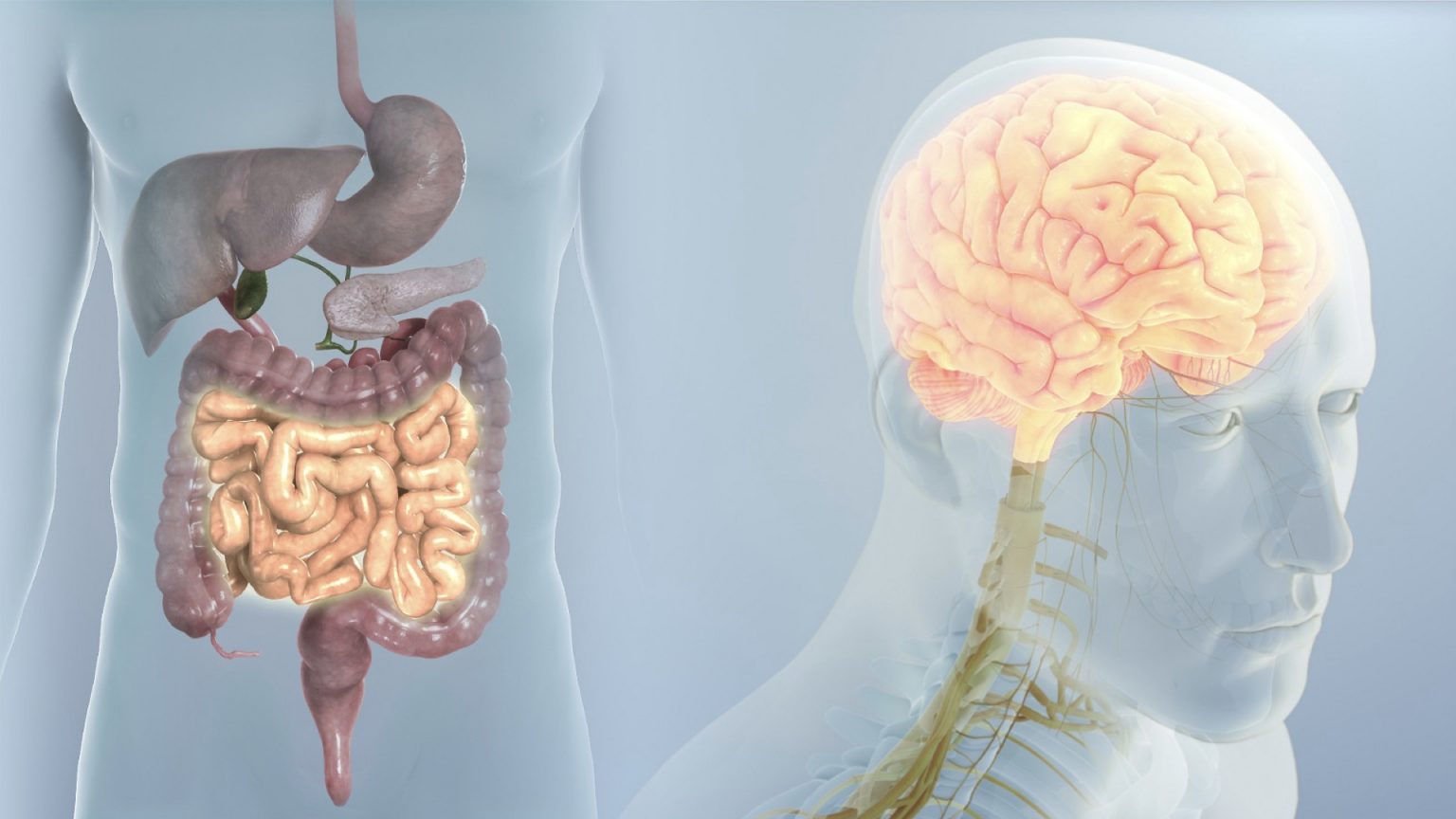 A Sneak Peak into Gastrointestinal (GUT) Conundrum of Parkinson Disease ...